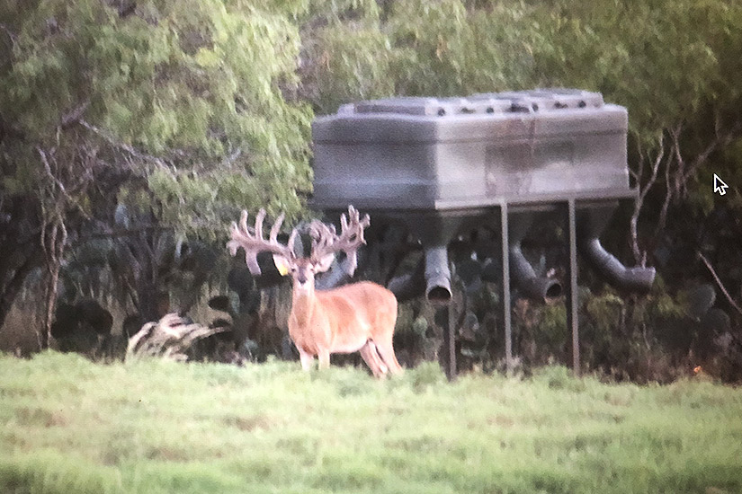 TEXAS M3 RANCH