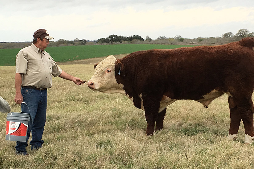 TEXAS M3 RANCH